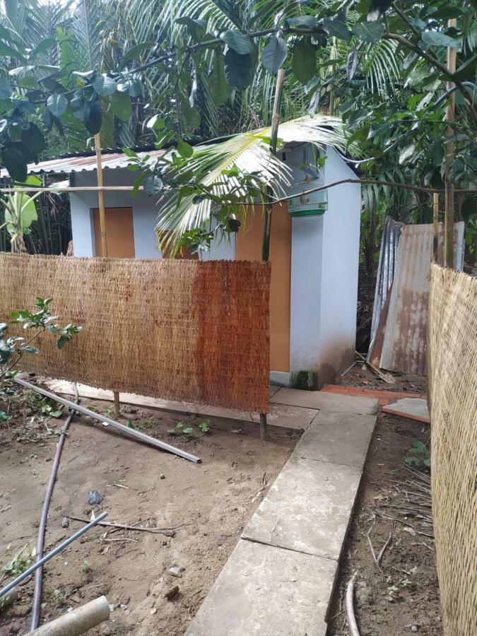 Mecong Homestay Ben Tre Exterior foto
